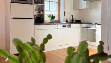 Apartment Wohlfühlplatzl - urgemütlich & ruhig - Foto 4, stove, dishwasher