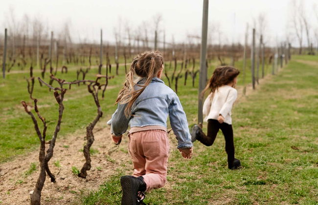 Tour por la Viña Cousiño Macul y el Templo Bahaí - Foto 7