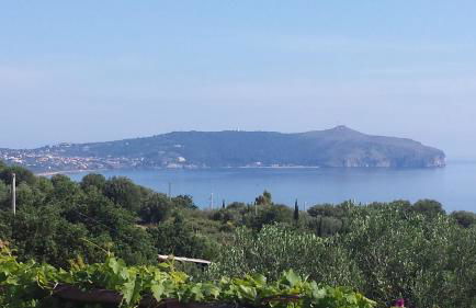 Agriturismo Valle di Marco - Foto 38