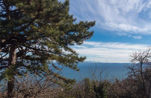 Comfy And Warm Ap With Balcony Surrounded With Beautiful Nature - Foto 19