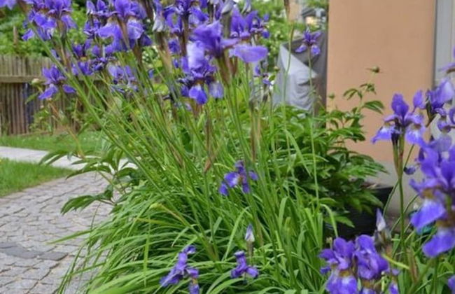 Holiday Apartment Coffee Mill - Foto 23