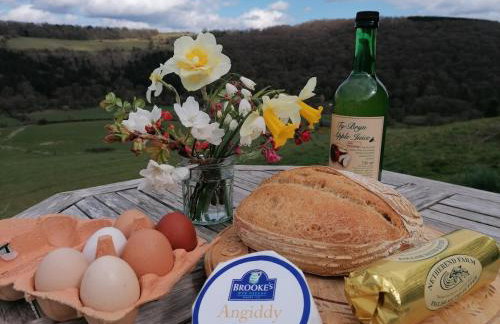 Donkey Shed - Foto 4