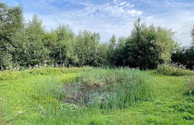 Alluring Holiday Home in Erp Near Forest - Photo 54