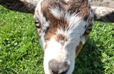 Bed and Bike Rheine - Foto 54