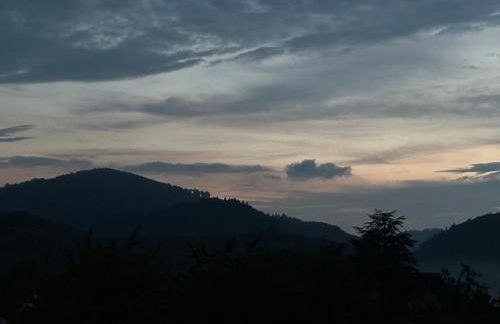 Ebenerdige Ferienwohnung im Luftkurort Dodenau - Foto 20