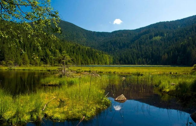 Charming Apartment With Terrace in Deggendorf - Foto 34