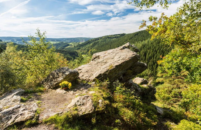 Traditional Chalet with Garden near Malmedy & Hautes-Fagnes - Foto 46