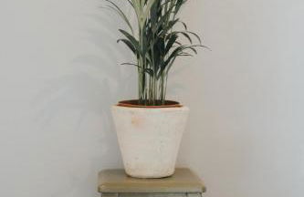 Pico Apartment's - Photo 22