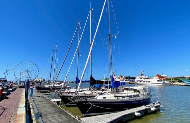 Near the North Sea Modern Retreat - Foto 14