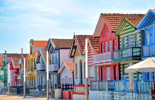 Bird’s Home - Foto 75