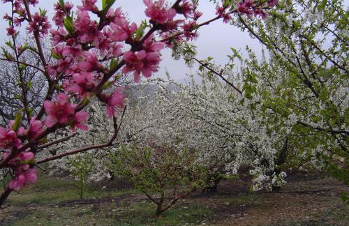 Cabañas Imagina - Foto 63