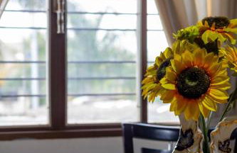 Recanto dos Passaros - Wifi Garagem Gourmet - Foto 14