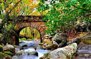 Apartamentos Dacris - Foto 64