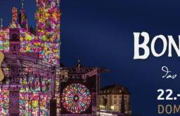 Ruhige Oase in traumhafter Lage - Foto 19