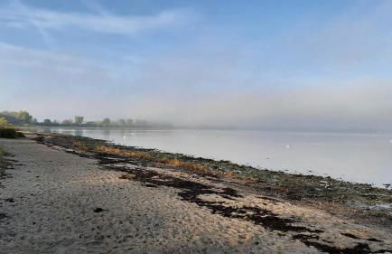OSTSEE-Ferienhaus RAMONA - am Strand & ruhig - Foto 18