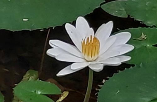 Casa Petar Betari - Foto 71