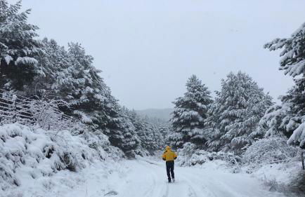 Artesano II - Foto 16