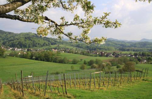 Familien-Appartement Schwarzwald bei Freiburg mit bis zu 4 Schlafzimmern - Foto 41