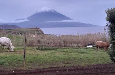Quinta da Maria - Foto 63
