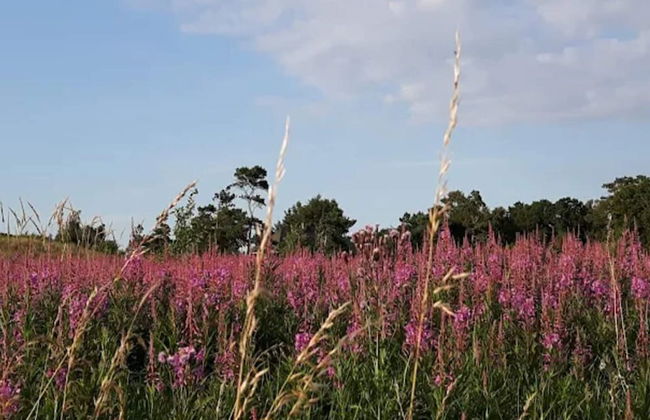 5 Person Holiday Home in Dronningmolle - Foto 8