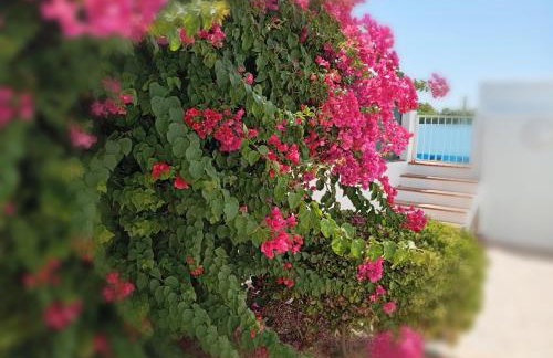 Casa Susana - Foto 3