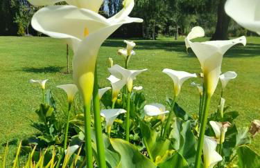 Domaine de l'Ermitage - Foto 45