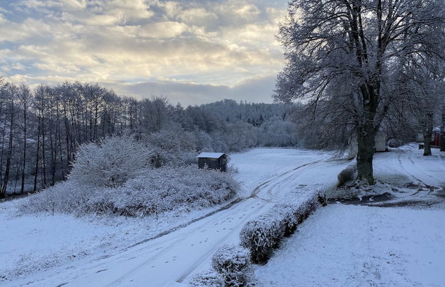 Ferienhaus im Harz Nahe Skipisten - Foto 29