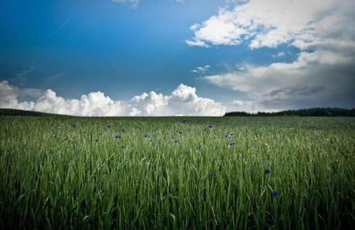 Villa Hochwald Familienhaus - Foto 25