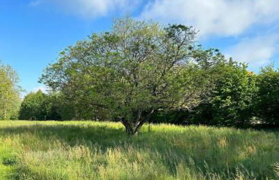 Casa Bei Sogni - Foto 30