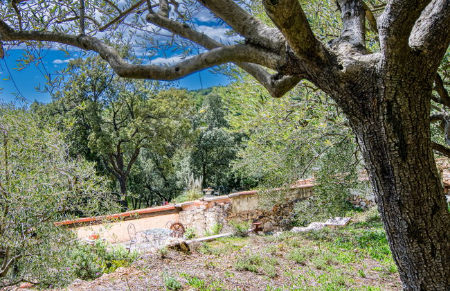 Chez Canard - Foto 34