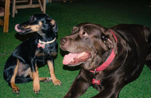 Talos Hotel Apartments - Foto 30