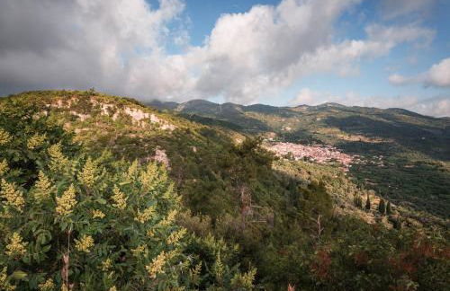 Villa Vicky - Foto 8