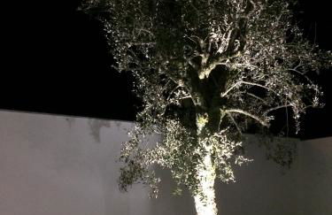 Casa dos Valentins Geres - Foto 56