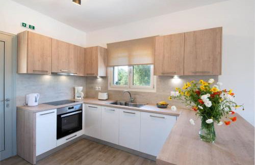 A Casa D' Irene Gaios Paxos - Foto 27