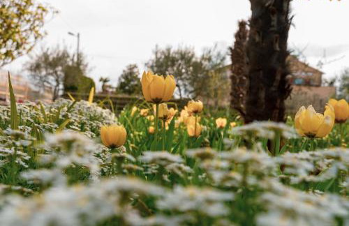 Apartment Villa Olga - Foto 27