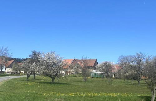 Ferienwohnung auf dem Land, Haus Hans Stepha - Foto 27