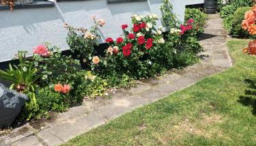 Apartament RÓŻE - Foto 5