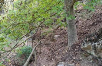 Mi casica de Bogarra - Foto 26