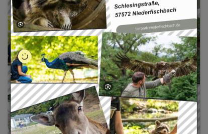 Ferienwohnung " Zum Flecker Haeuschen" in der Altstadt Freudenberg - Foto 35