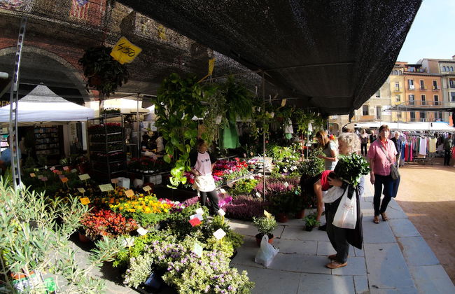 Luxury Apartment Stancesvic - Foto 34