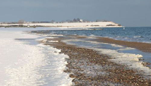 Hof Schubyfeld - Foto 3