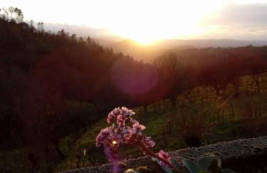 Bela Vista Alqueve - traditional stone house and private pool - Foto 30