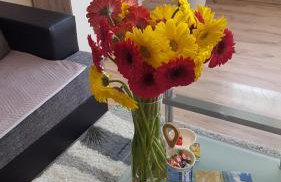 Apartman TARA - Foto 7