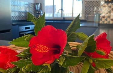 El Riuet-Chalet apartamento a 1 minuto de la playa, Cullera - Foto 25