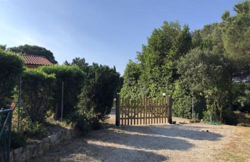 Appartamenti Sterlizia 2 - Foto 8