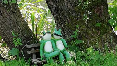 Am Froschteich - Foto 1