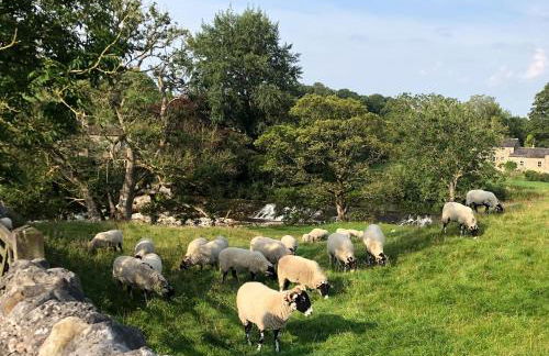 Town Head Cottage - Foto 31