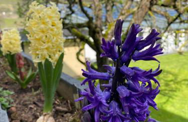 FeWo Sonnenlay - Apartments an der Mosel - Foto 40