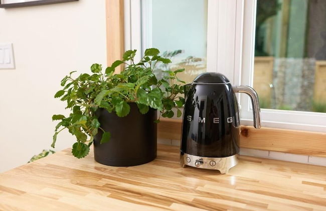 The Rex Hotel - Foto 30