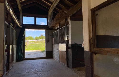 Bei Dörflingers - Foto 17